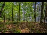 Lot 137 Clearwater Lake Tr - Photo 13