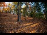 Lot 137 Clearwater Lake Tr - Photo 3