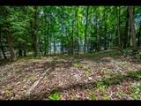 Lot 137 Clearwater Lake Tr - Photo 7