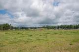 Off Hwy 45 - Photo 14