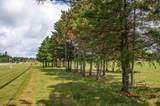 Off Hwy 45 - Photo 16