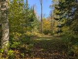 11355 Price Lake Rd - Photo 85