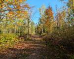 11355 Price Lake Rd - Photo 86