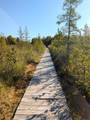 11355 Price Lake Rd - Photo 87