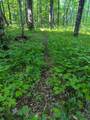 11355 Price Lake Rd - Photo 92