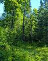 11355 Price Lake Rd - Photo 93
