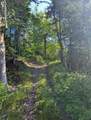 11355 Price Lake Rd - Photo 97