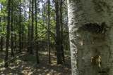 Lot 3 Pine Cone Dr - Photo 4