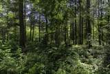 54 acres Cth B - Photo 12
