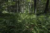 54 acres Cth B - Photo 15