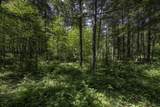54 acres Cth B - Photo 17