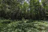 54 acres Cth B - Photo 4