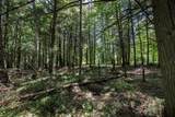 54 acres Cth B - Photo 8