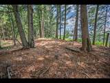 Lot 139 Clearwater Lake Tr - Photo 4