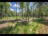 Lot 139 Clearwater Lake Tr - Photo 8