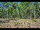 Lot 141 Kindling Pt - Photo 12