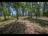 Lot 141 Kindling Pt - Photo 14