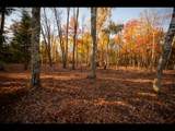 Lot 141 Kindling Pt - Photo 3