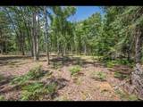 Lot 141 Kindling Pt - Photo 9
