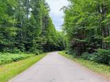 ON Bearskull Rd - Photo 1