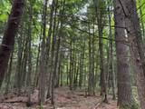 ON Bearskull Rd - Photo 10