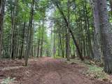 ON Bearskull Rd - Photo 11