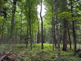 ON Bearskull Rd - Photo 12