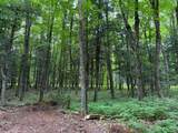 ON Bearskull Rd - Photo 13
