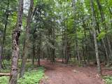 ON Bearskull Rd - Photo 14