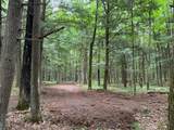ON Bearskull Rd - Photo 15