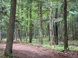 ON Bearskull Rd - Photo 16