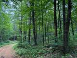 ON Bearskull Rd - Photo 17