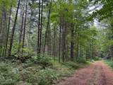 ON Bearskull Rd - Photo 18