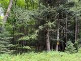ON Bearskull Rd - Photo 19