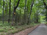 ON Bearskull Rd - Photo 21
