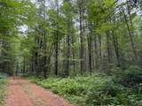 ON Bearskull Rd - Photo 3