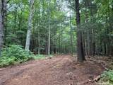 ON Bearskull Rd - Photo 8