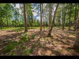 Lot 160 Clearwater Lake Tr - Photo 2