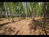 Lot 160 Clearwater Lake Tr - Photo 3