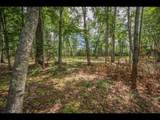 Lot 160 Clearwater Lake Tr - Photo 6