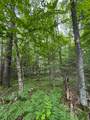 Lot 2 Benson Rd - Photo 4
