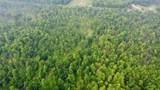 40 Acres Cth H - Photo 3