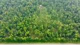 40 Acres Cth H - Photo 4