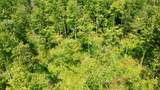 40 Acres Cth H - Photo 42