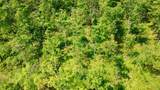 40 Acres Cth H - Photo 43