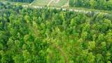 40 Acres Cth H - Photo 5