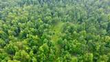 40 Acres Cth H - Photo 6