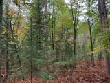 ON Musky Dam Ln - Photo 21