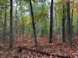 ON Musky Dam Ln - Photo 22