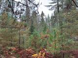 ON Musky Dam Ln - Photo 26